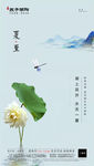 中国二十四节气夏至