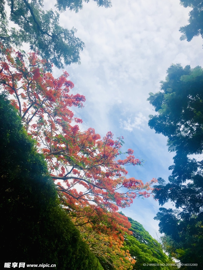 天空