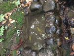 泉水