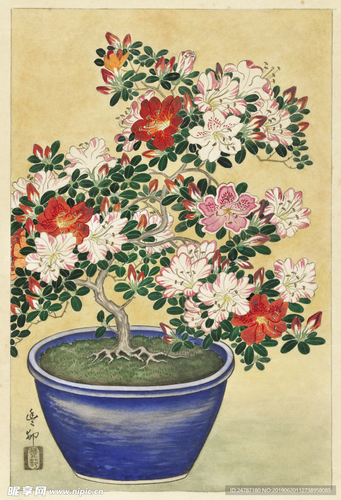 手绘花盆