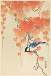 中国画小鸟
