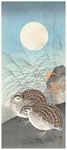 中国画小鸟