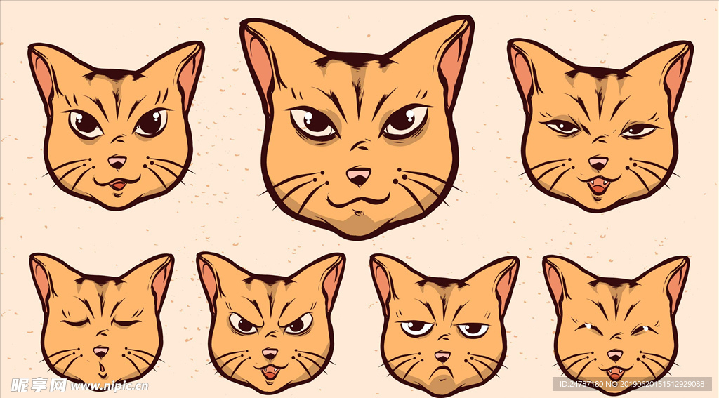 猫头