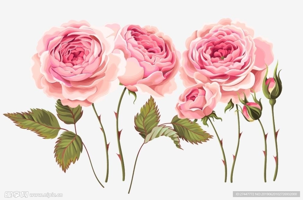 玫瑰花