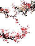 梅花素材