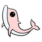 海豚