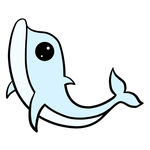 海豚