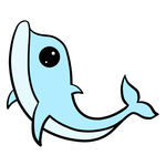 海豚