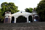 图片元素 设计素材 深林 大自