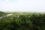 梦幻佘山全景 大图 房子树 春
