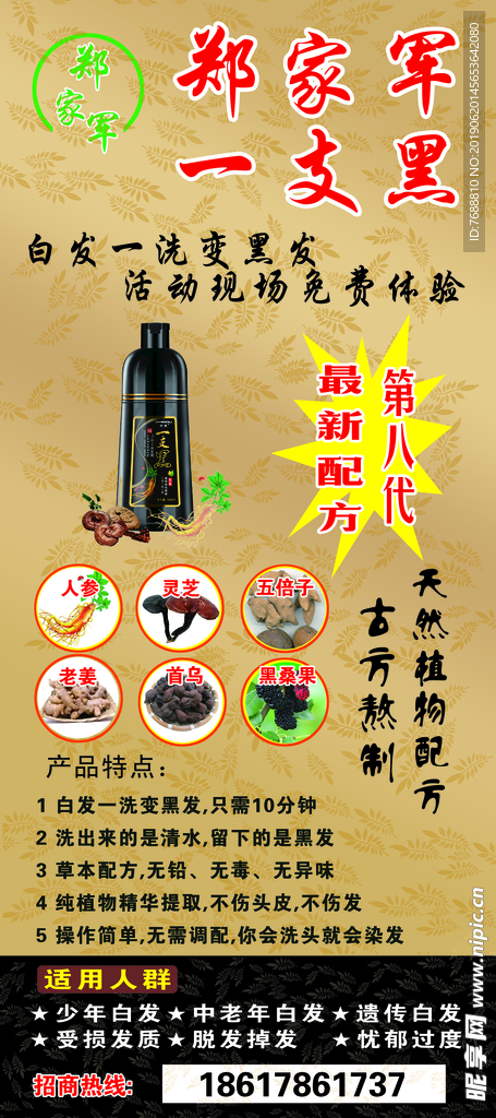 郑家军 一支黑