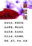 藏红花  简介