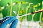 生物化学科技实验背景