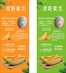 波斯蜜瓜吊旗