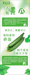 黄瓜吊旗