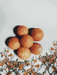 橘子