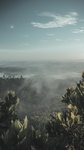 绿植山峰
