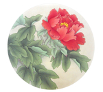 国花 牡丹
