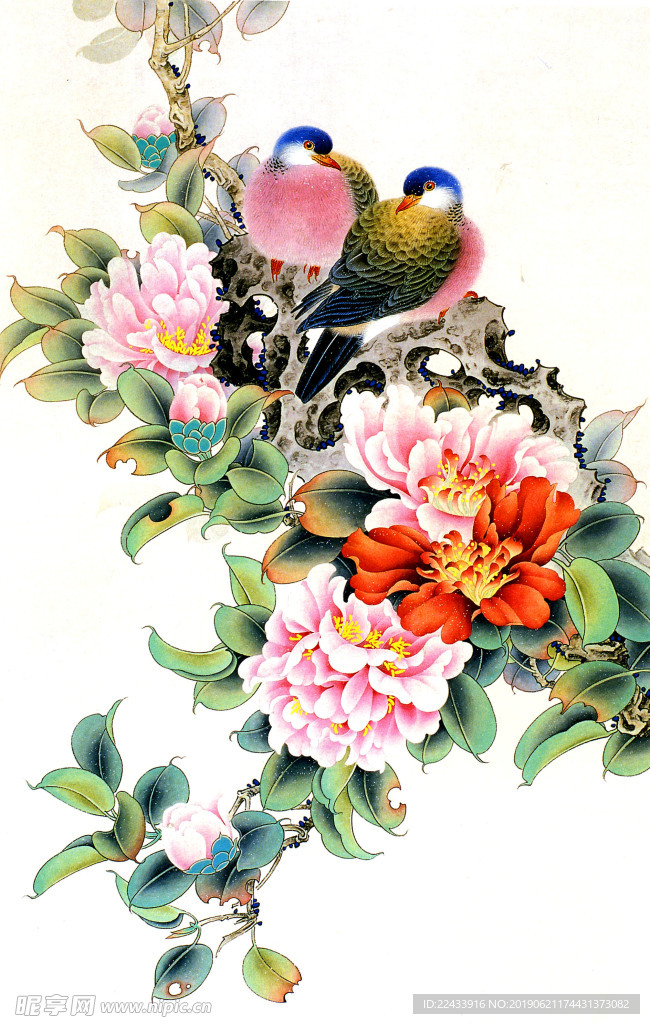 国花 牡丹