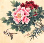 国花 牡丹