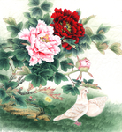国花 牡丹