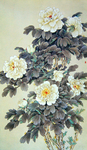 国花 牡丹