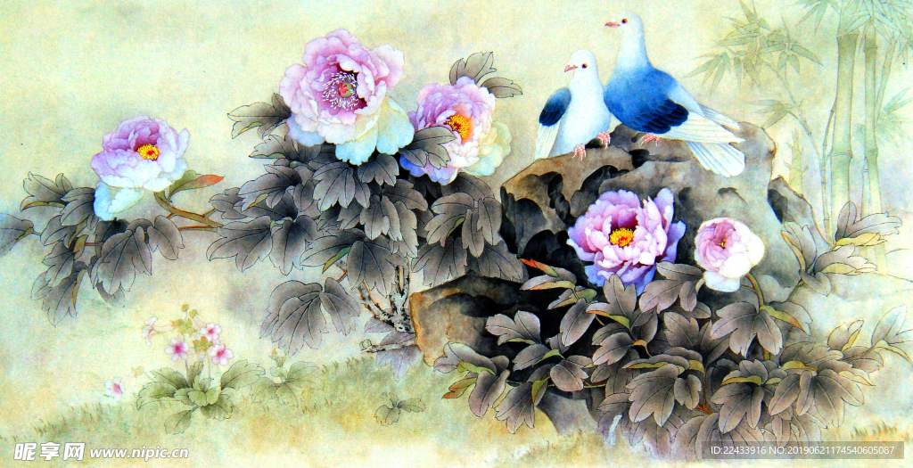 国花 牡丹