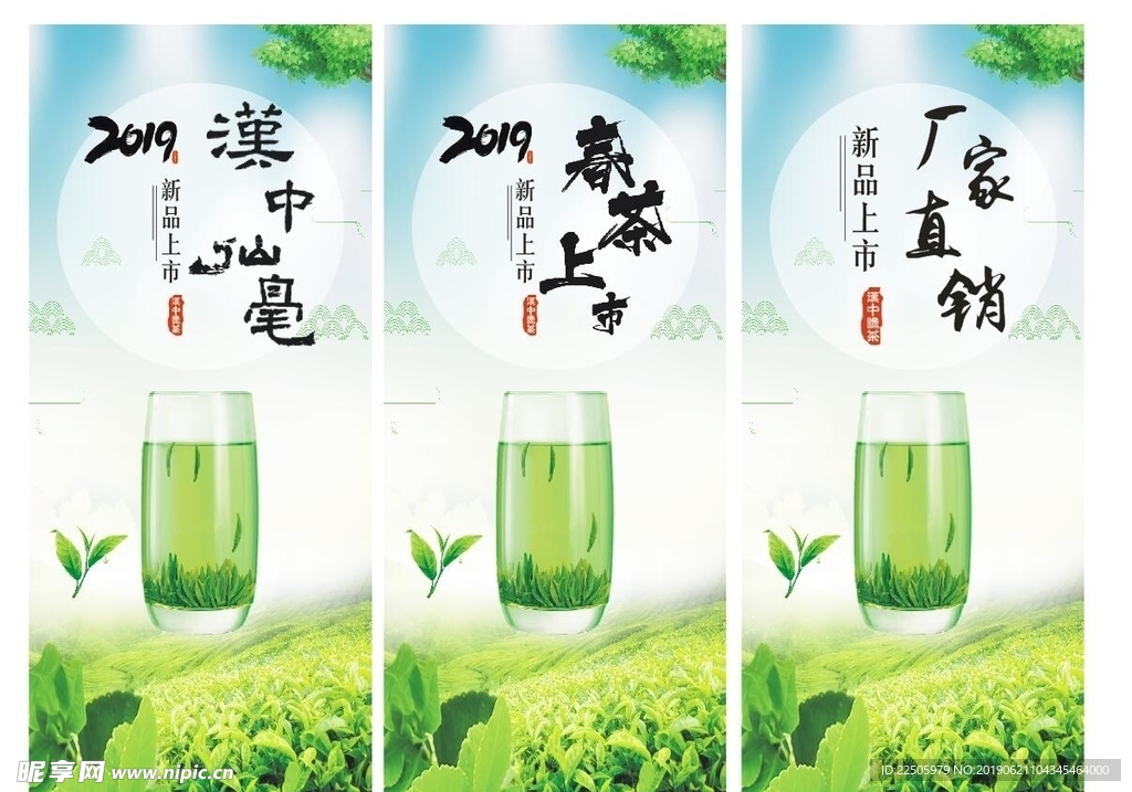 茶社新茶上市