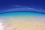 海水