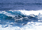 海水