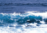 海水