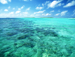 海水