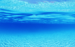 海水