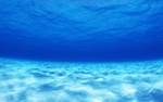 海水