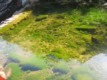 水潭