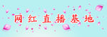 网红基地