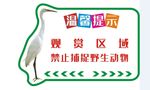 温馨提示绿色环境保护红树林生态