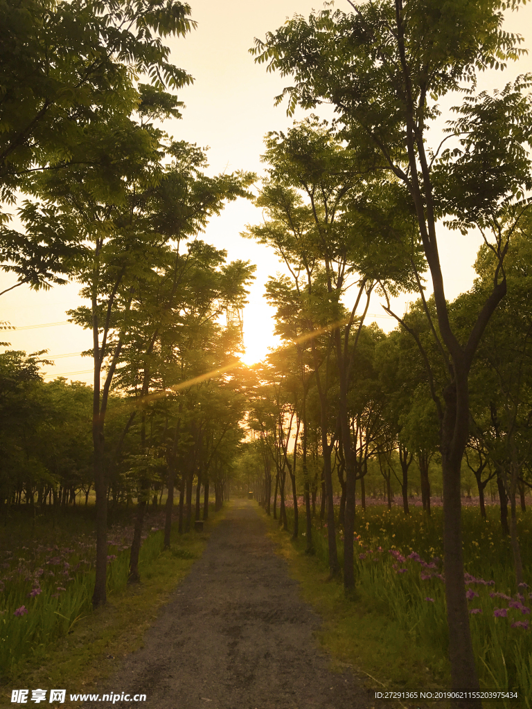 夕阳  黄昏 高清大图