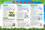 夏季安全知识宣传栏