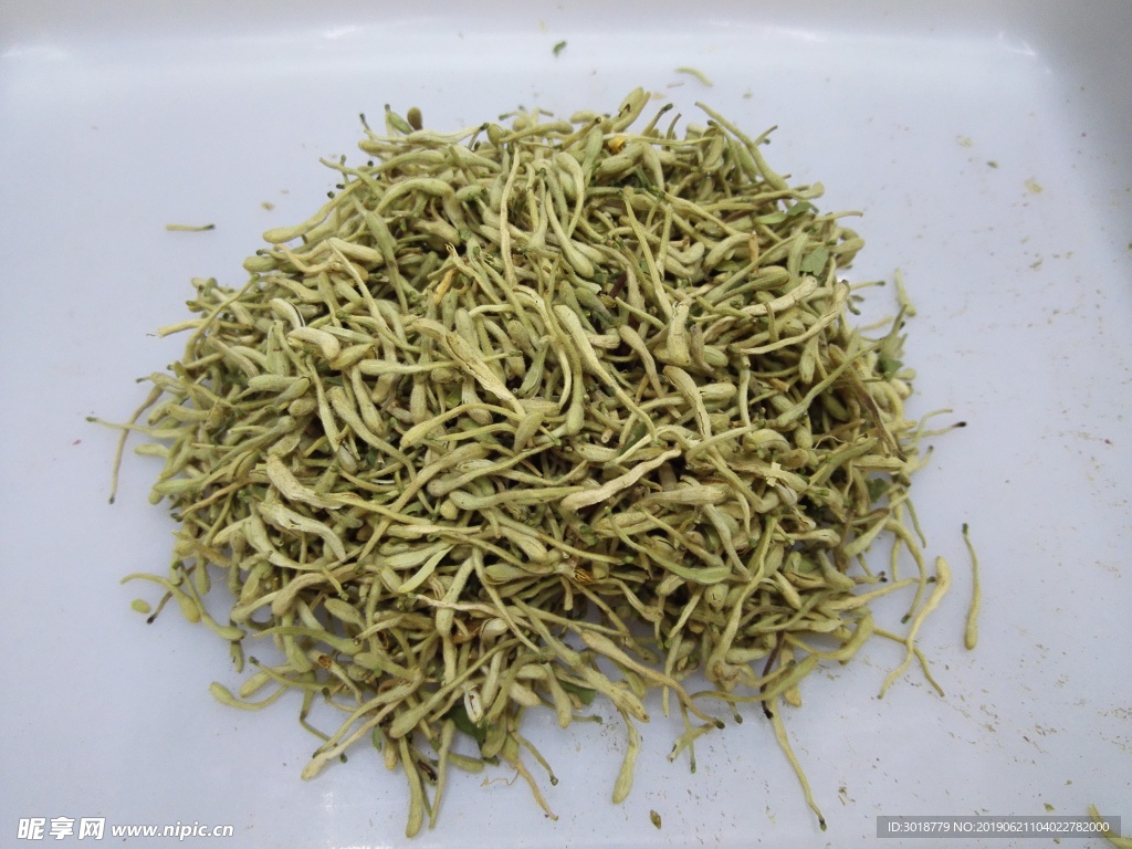 金银花
