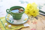 茶与茶生活