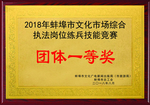 团体一等奖奖牌