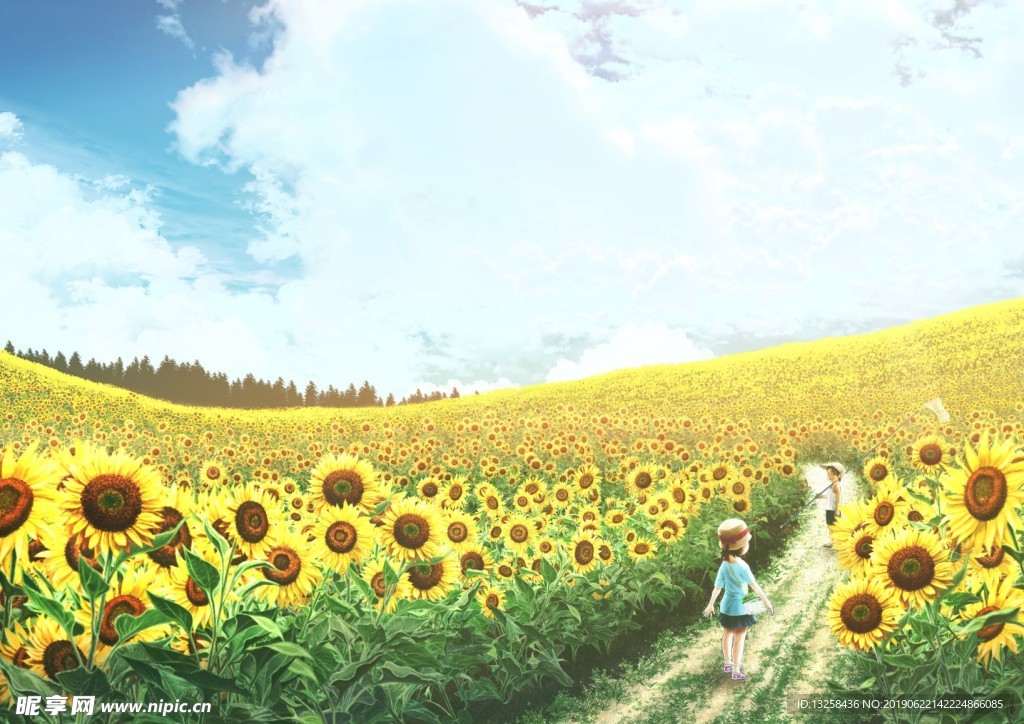 向日葵卡通插画