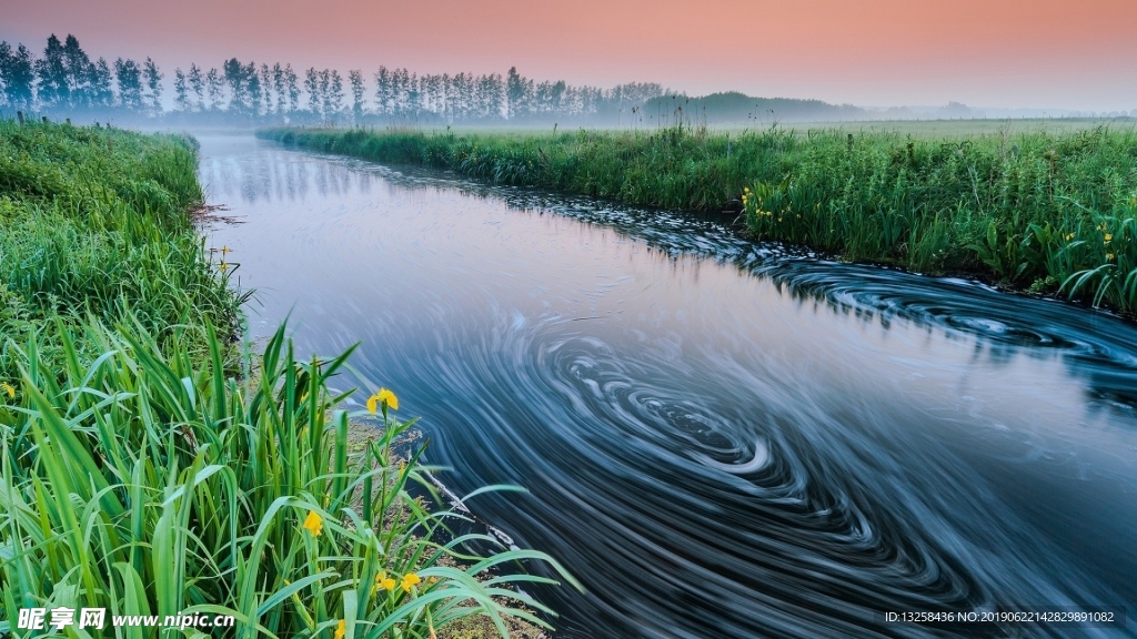 树林河水草地风景