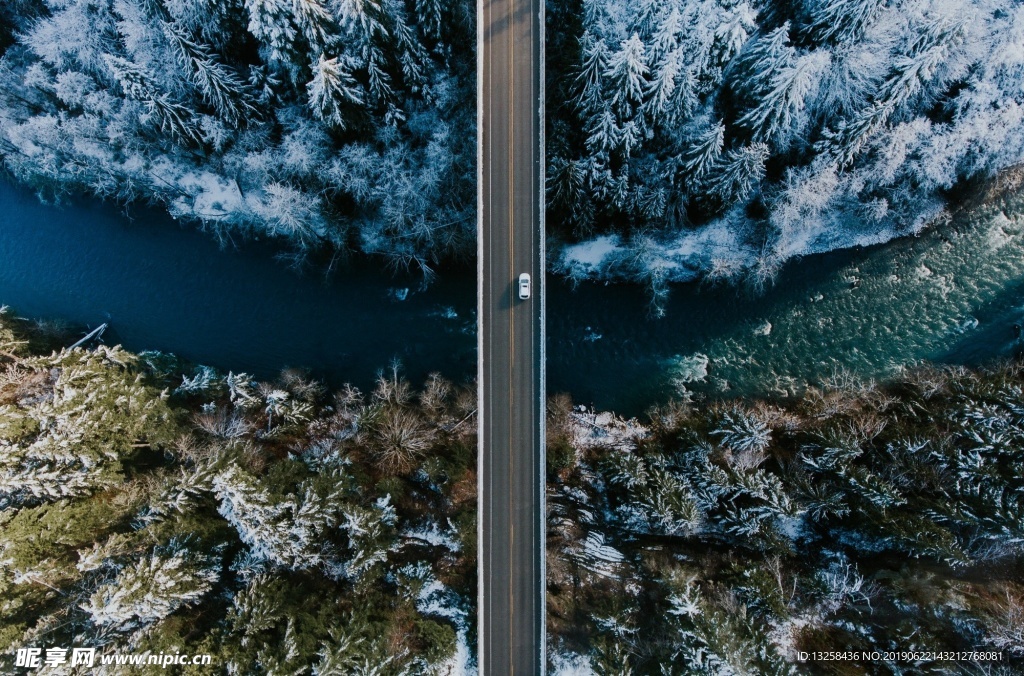 公路河流树林