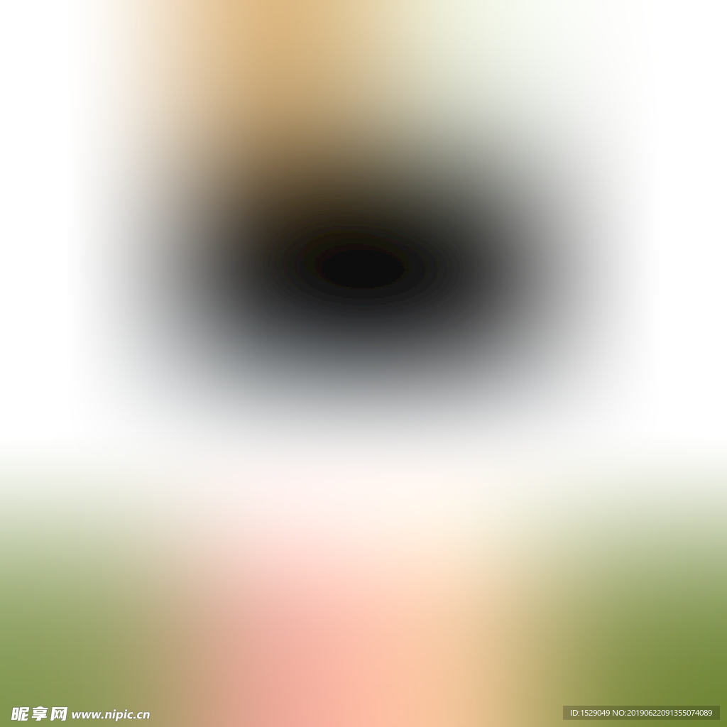 淡彩花边框