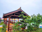 人民公社1
