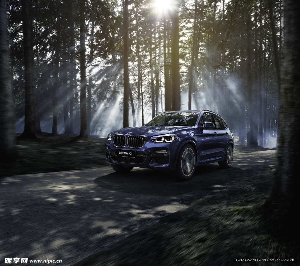 穿越丛林的BMW汽车