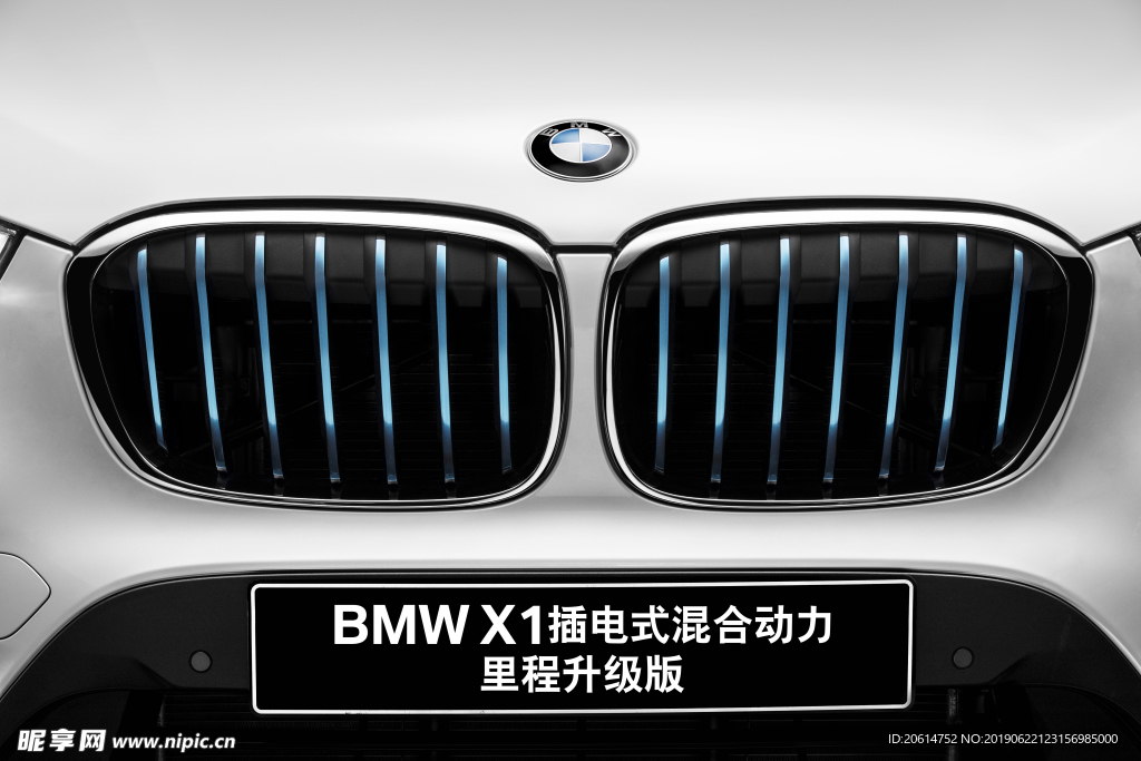 BMW双肾