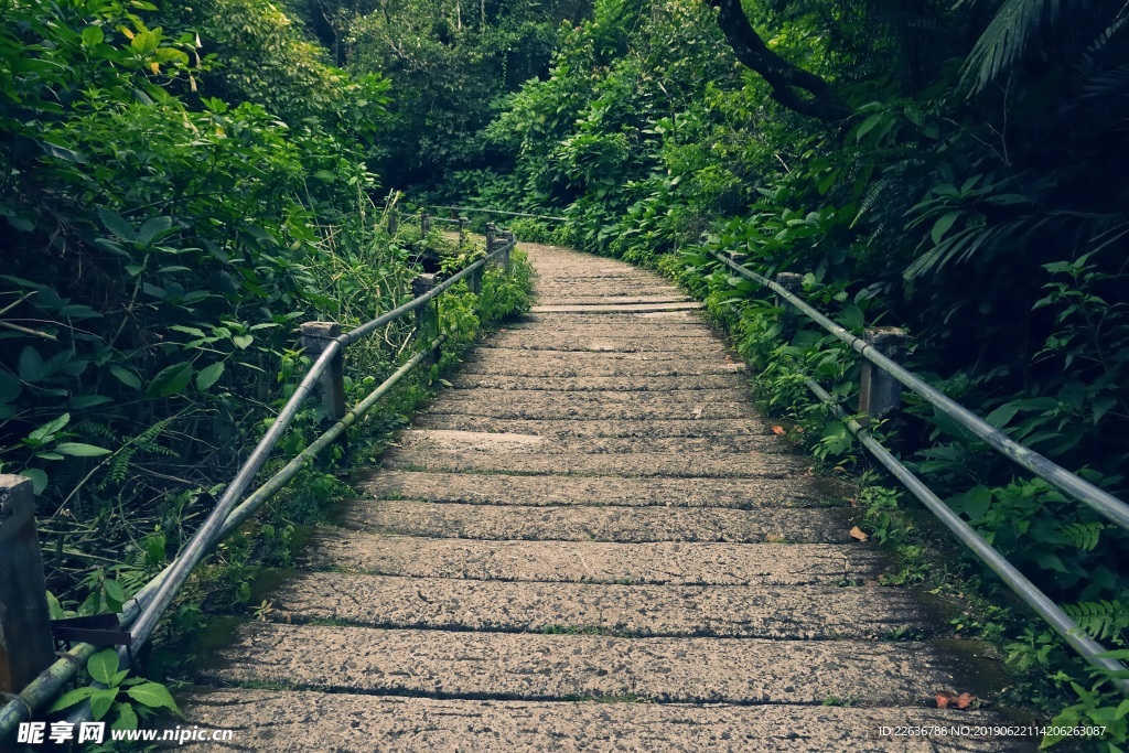 风景图片唯美图片独木桥桌面壁纸